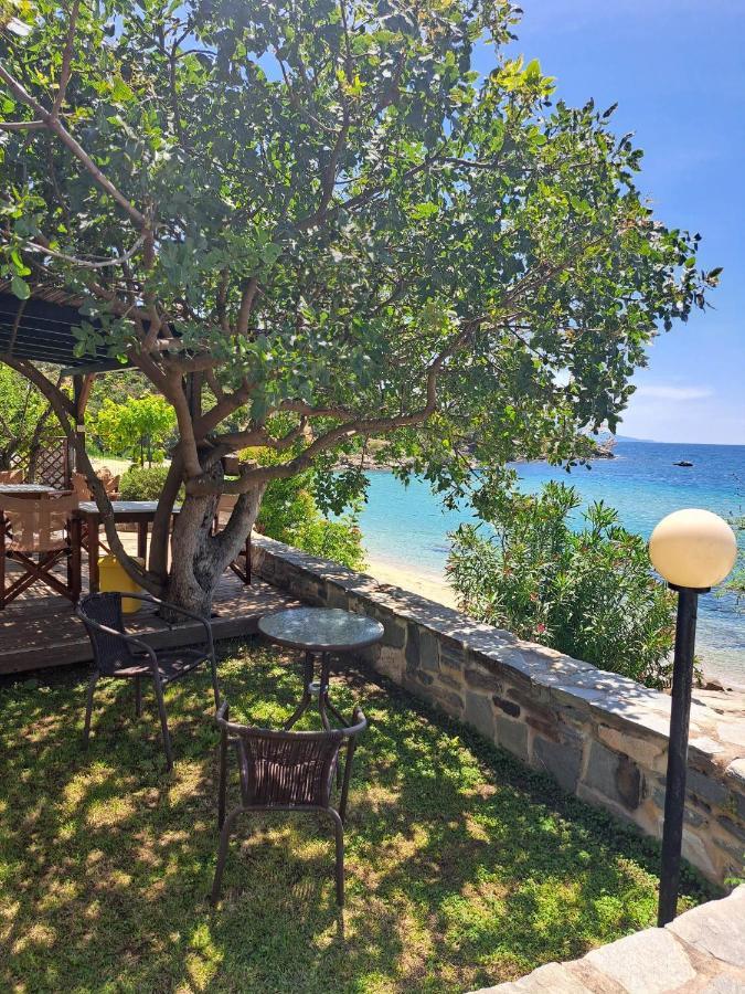 Willa La Casa Sul Mare PalaiónTsiflíkion Zewnętrze zdjęcie